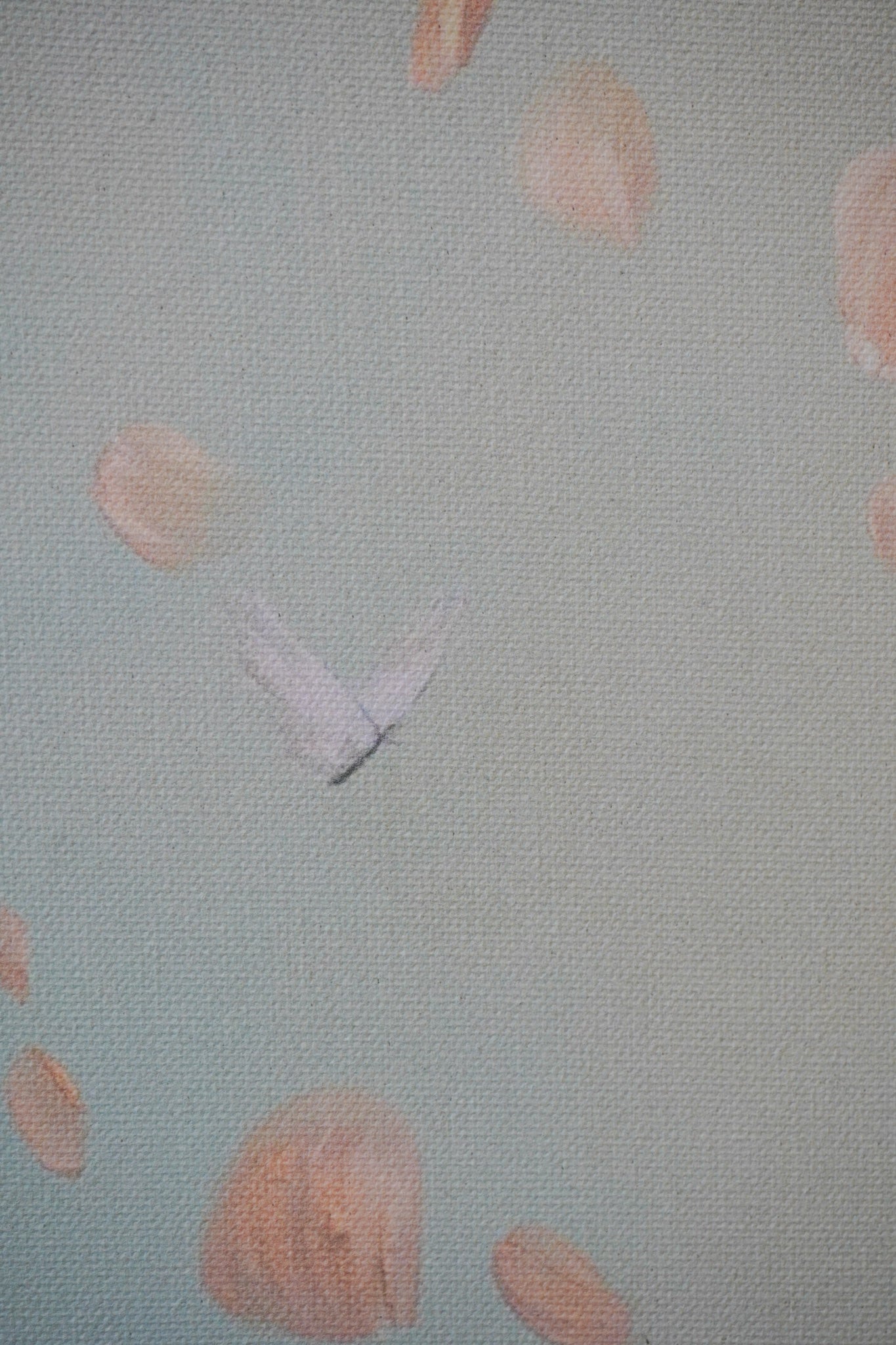 "Free Flight" canvas print