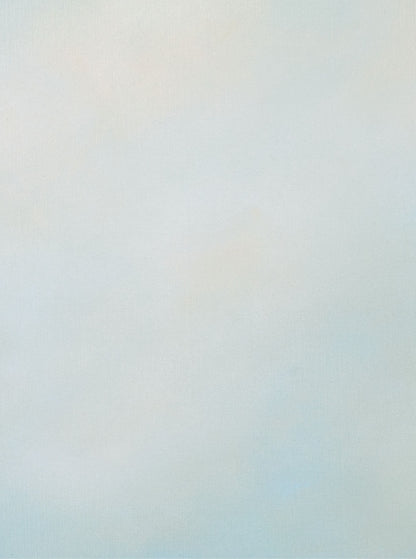 "Free Flight" canvas print