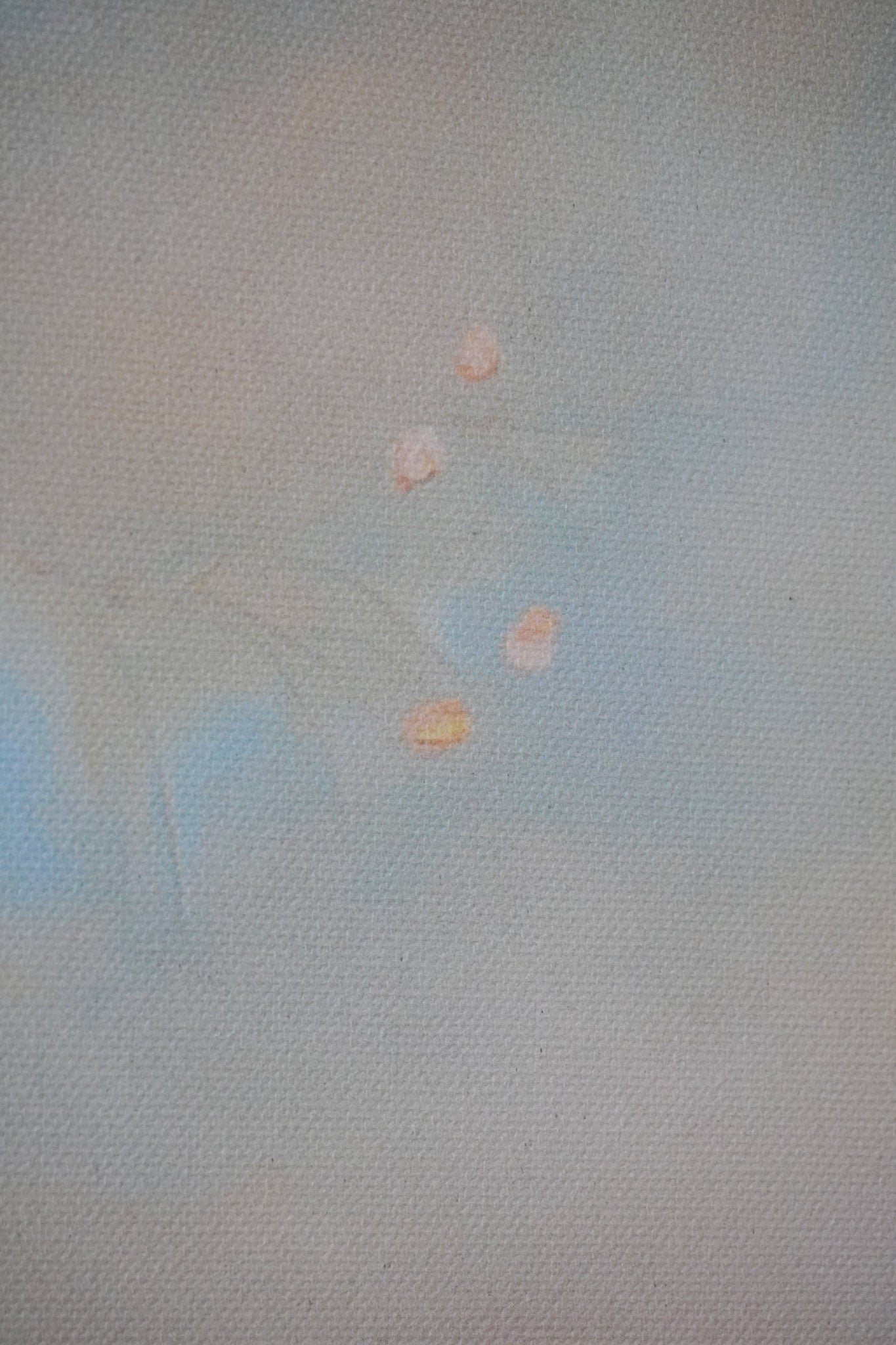 "Northern Breeze" canvas print