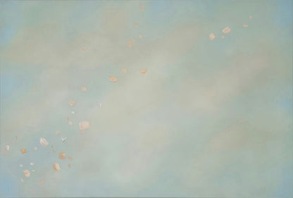 Free Flight